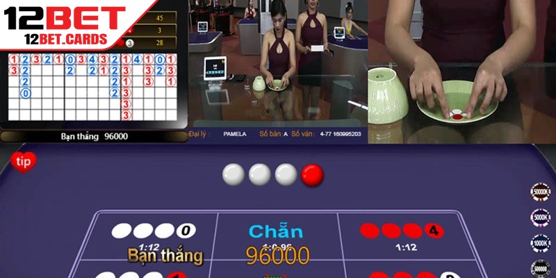 Các thuật ngữ cơ bản, liên quan đến bắt cầu Xóc Đĩa 12BET