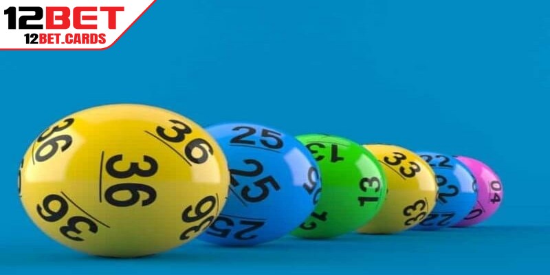 Kỹ thuật nuôi khung 5 ngày nâng cao cơ hội trúng độc đắc